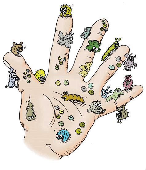 germs on hands clipart - Clip Art Library