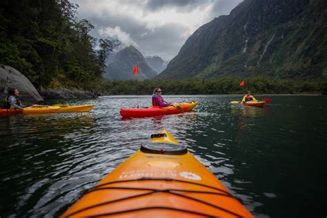 How to Go Kayaking in Milford Sound- The BEST Kayaking Tour & More