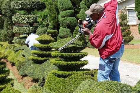 How To Trim Bushes Into Shapes – Mxzim.com