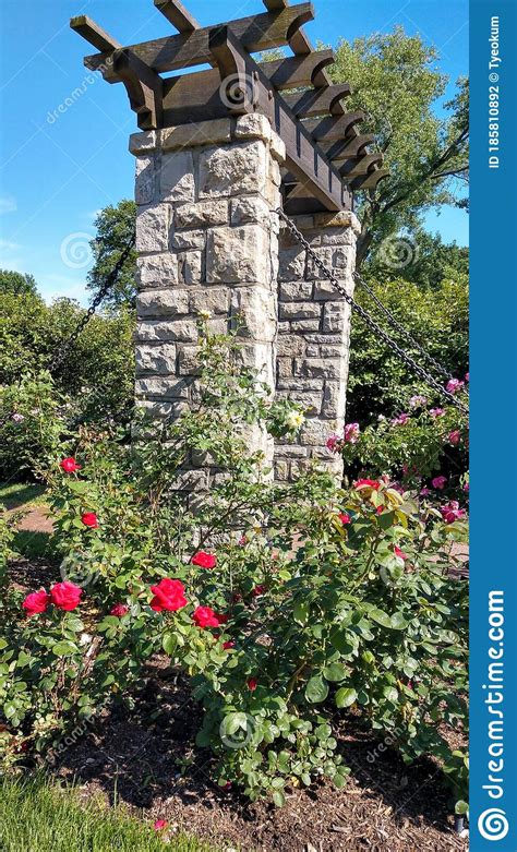 Red Rose Garden at Loose Park, Kansas City, Missouri Stock Photo ...