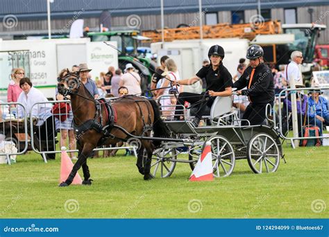 Driving Competition Horse Drawn Carriage Editorial Stock Image - Image ...