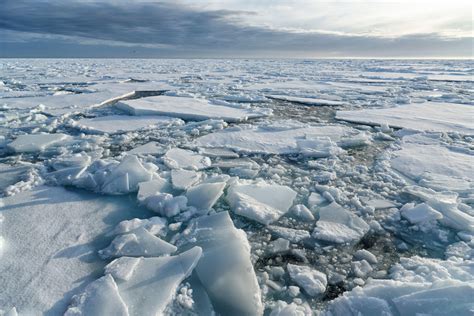 Arctic sea ice summer minimum in 2022 is ‘joint-10th lowest’ on record ...