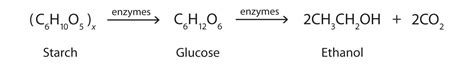 Ethanol Fermentation Equation