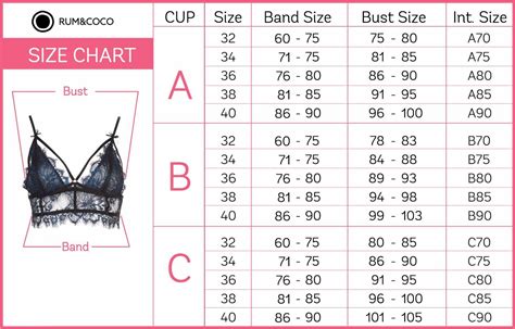 Bra Cup Size Guide