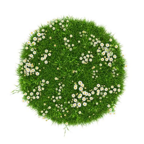 Best Grass Circle Illustrations, Royalty-Free Vector Graphics & Clip ...