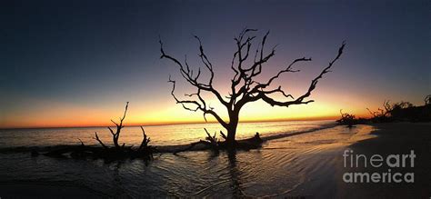 Driftwood Beach Sunrise Photograph by Dionne Rodgers - Fine Art America