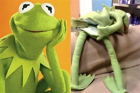 Which Kermit Meme Are You Based On Your Zodiac Sign?