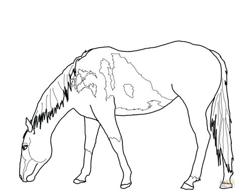 Coloring Pages Wild Horses at GetColorings.com | Free printable ...