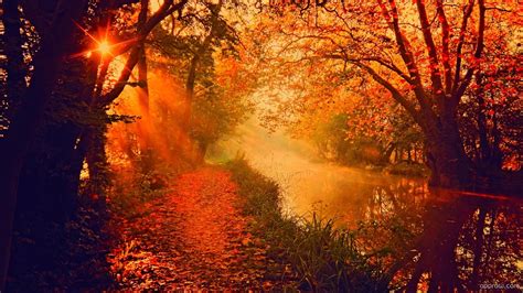 Orange Autumn River Wallpaper download - River HD Wallpaper - Appraw