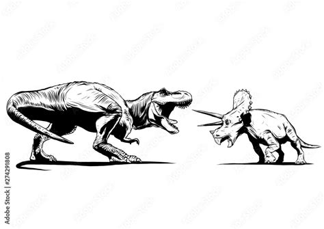 T Rex Versus Triceratops illustration with a tyrannosaurs rex attacking ...