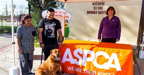 Volunteer Animal Shelter Greeter (Spanish-Speaking) | ASPCA