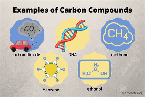 Carbon Compounds and Examples