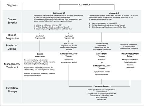 Treatment algorithm for systemic sclerosis-interstitial lung disease ...