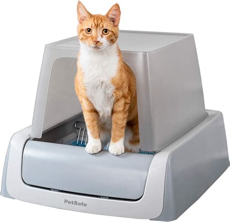 Top 10 Best Self Cleaning Litter Box For Large Cats- Top Picks For You!