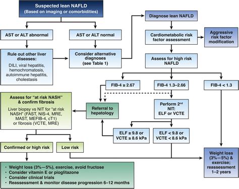 Diagnosis and management of nonalcoholic fatty liver disease (NAFLD) in ...