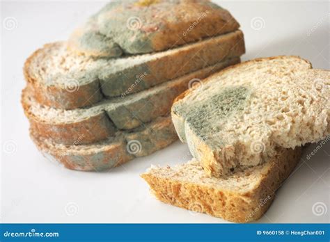 Fungus On Bread Royalty Free Stock Photos - Image: 9660158