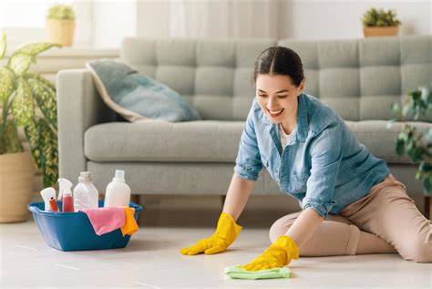 Secrets to Always Have a Clean House – Pena Ngusa