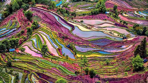 Stairways to Heaven: Incredible Rice Terraces of the World (PHOTOS ...