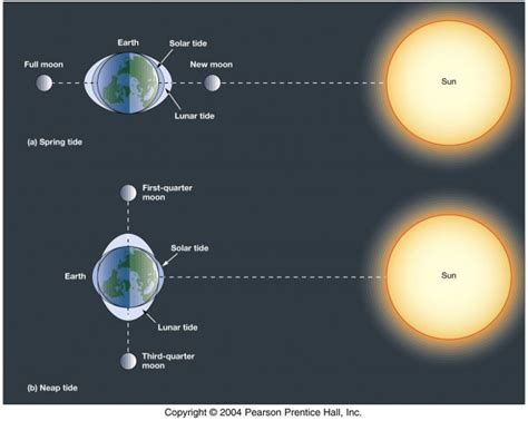 Quarter moon, Earth perihelion, neap tide | Science Wire | EarthSky