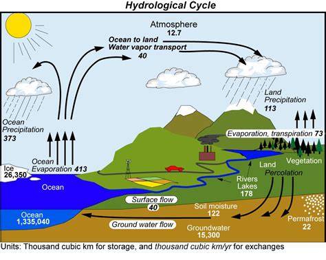 Sublimation Diagram Water Cycle