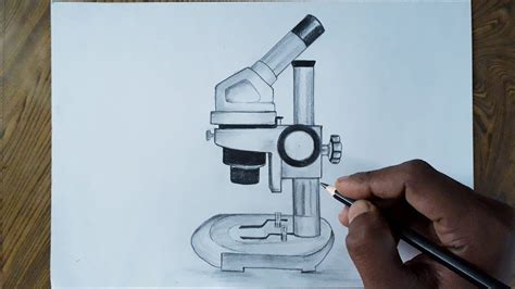 Aggregate 70+ dissecting microscope drawing - xkldase.edu.vn