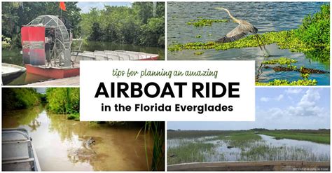 Airboat Ride at Everglades Alligator Farm - The Educators' Spin On It