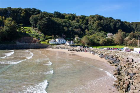 11 dog-friendly beaches in South Devon | Dart Valley Cottages