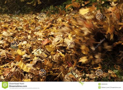 Fall Leaves Blowing Royalty Free Stock Photo - Image: 30090455