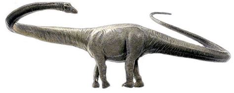 Barosaurus Pictures & Facts - The Dinosaur Database