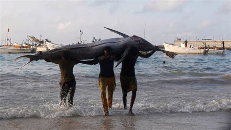 Somalia gives fishing license to 31 China vessels — Quartz Africa