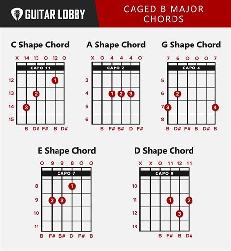 B Guitar Chord Guide: 9 Variations & How to Play - Guitar Lobby