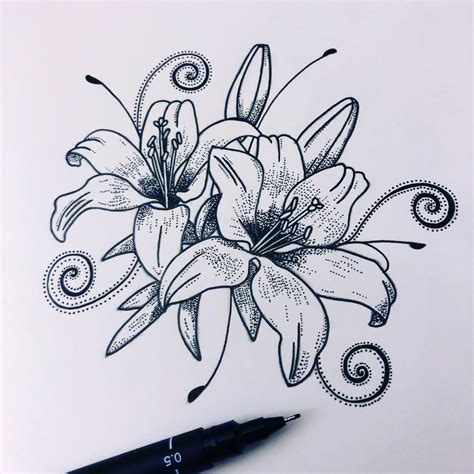 Stargazer Lily Drawing at PaintingValley.com | Explore collection of ...