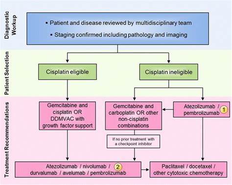 Society for Immunotherapy of Cancer consensus statement on ...