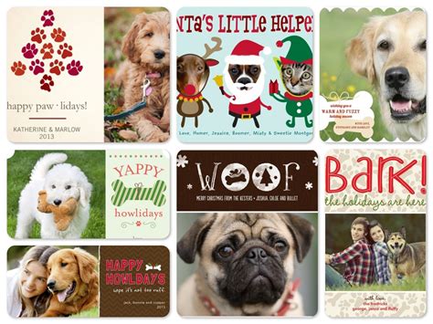 Adorable Pet Holiday Cards to Share the Joy