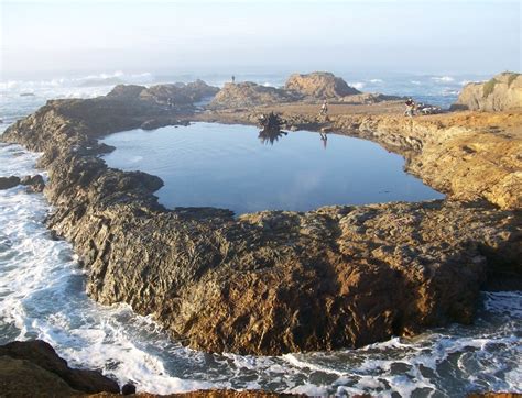 Tidal pool isolated from the waves of the Pacific Ocean by… | Flickr