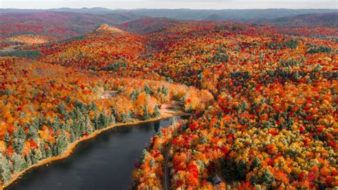 Peak Fall Foliage in New England (Experience Autumn) - YouTube