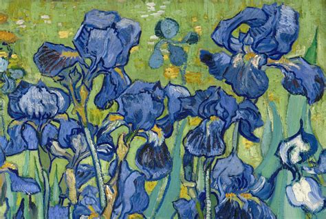 Five Ways of Seeing Van Gogh's Irises | Van gogh irises, Van gogh ...