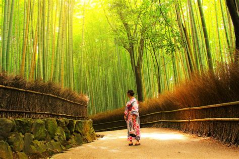 Arashiyama, Kyoto - Top Things To Do, Travel Tips, And Transportation ...