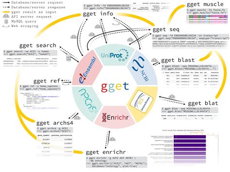 Efficient querying of genomic reference databases with gget | RNA-Seq Blog