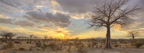 Ruaha Lodges And Camps | The Best Tanzania Lodges And Camps