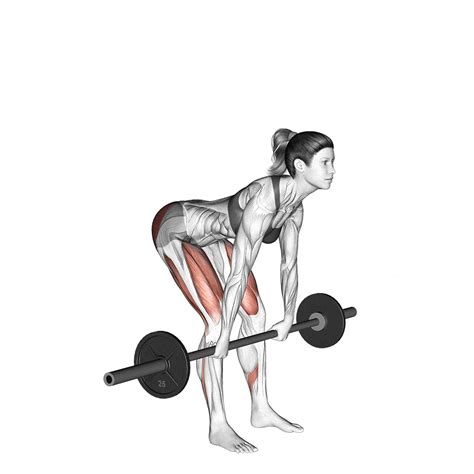 34 Best Leg Exercises for Building Muscle and Strength, According to ...