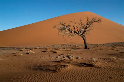 Exploring the Desert Landscape of Namibia - The New York Times