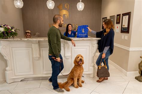 A Luxury Pet Hotel Where Dogs Love to Stay and Play