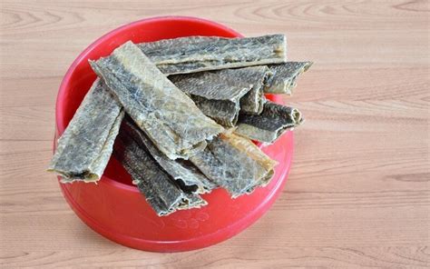 Best Fish Skin Treats for Dogs (Our Top 13 Picks) 2021