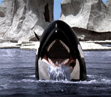 Orca Movie 1977