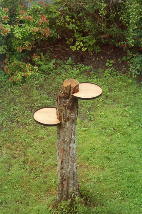 10+ Tree Stump Art Ideas