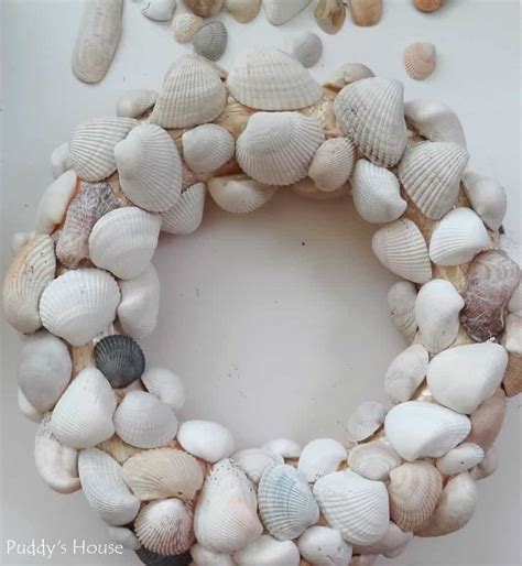 Lovely Seashell Crafts for Summer