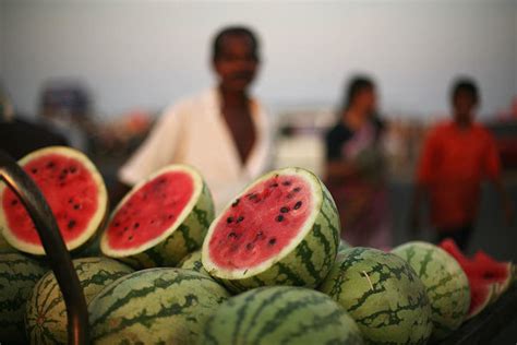 17 Best Summer Fruits in India | List of Summer Fruits • India Gardening