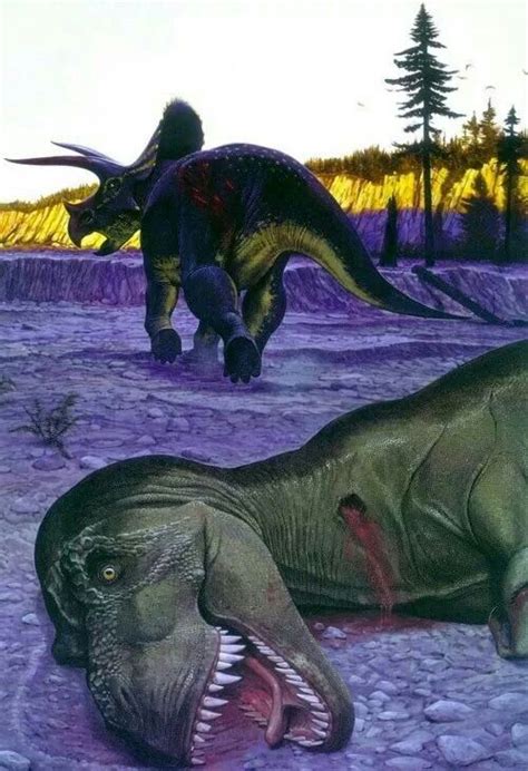 84 best images about Tyrannosaurus Rex vs. Triceratops on Pinterest