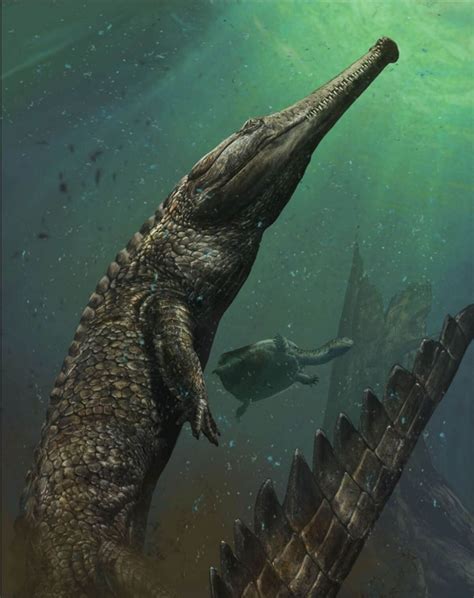 New species of crocodile-like dinosaur discovered - Jammu Kashmir ...